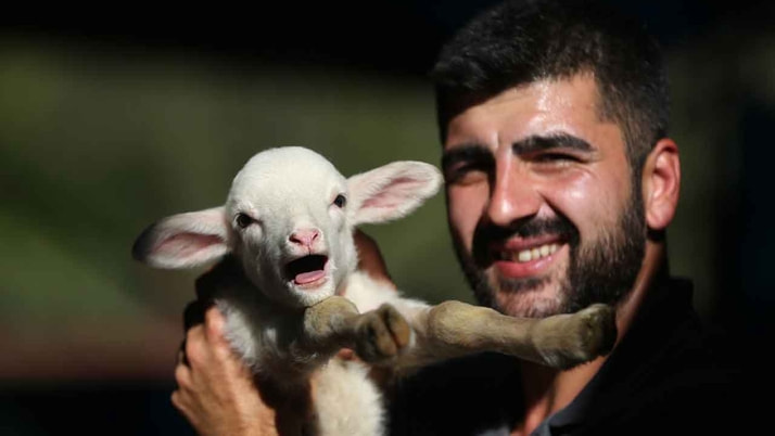 Ekonometris çobanın sıra dışı yaşamı