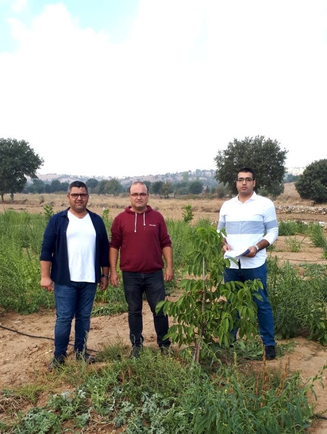 Kula da üreticiyle buluşturulan fidanlar kontrolden geçti