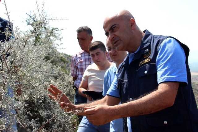 Manisalı orman köylüsünün yüzü ORKÖY le güldü