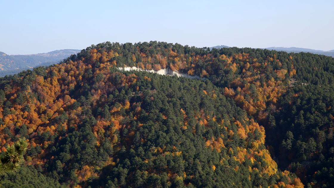 doğa renk değiştirdi