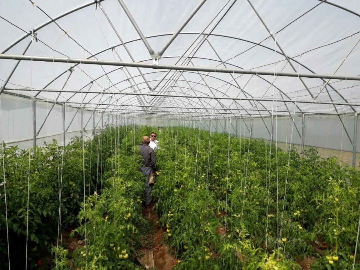 Manisa´ da seracılık gelişiyor.