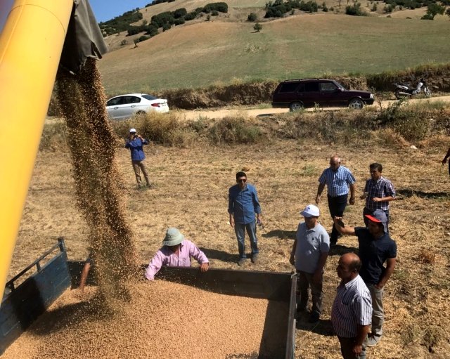 Tüm ülkede arttı, Ege bölgesi´nde azaldı