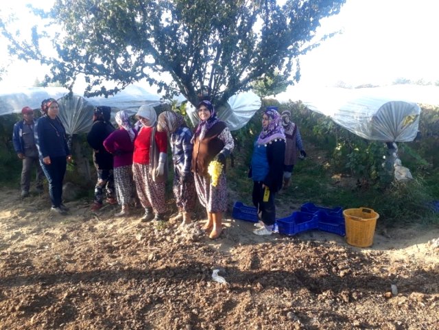 Üzüm bağında Ata ya saygı duruşu