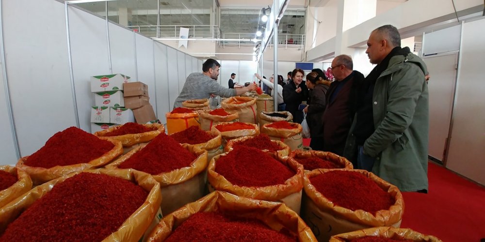 lezzet ve eğlence fuarı