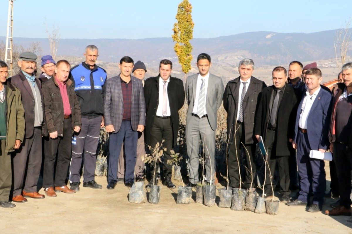 Demirci de üreticilere ceviz desteği