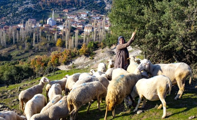 devlet desteği köylülerin yüzünü güldürdü.