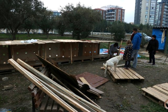 Hayvan düşmanları kulübeleri yıktılar