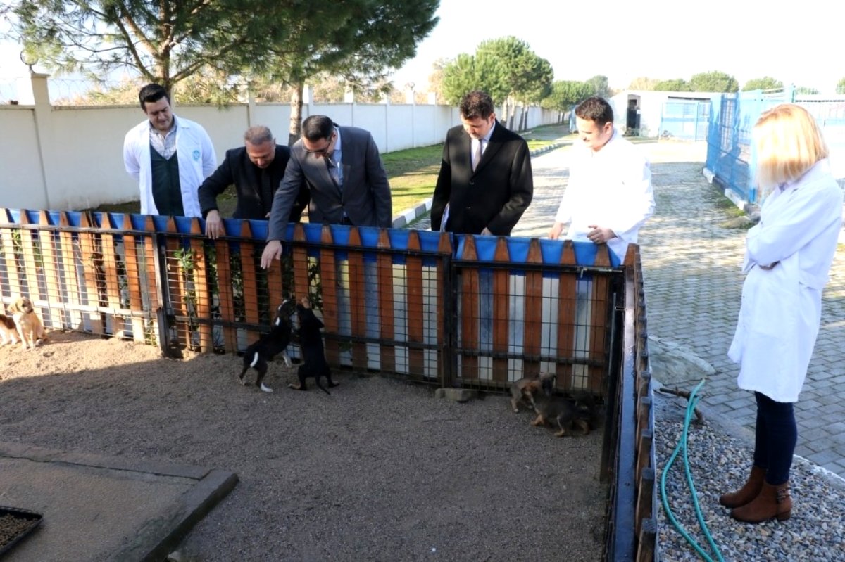 hayvan bakım merkezleri kışa hazır