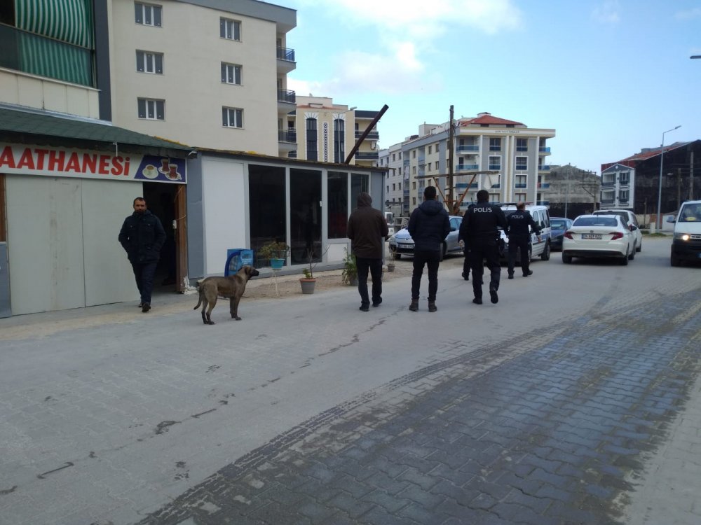 Horoz köyde meydan kavgası