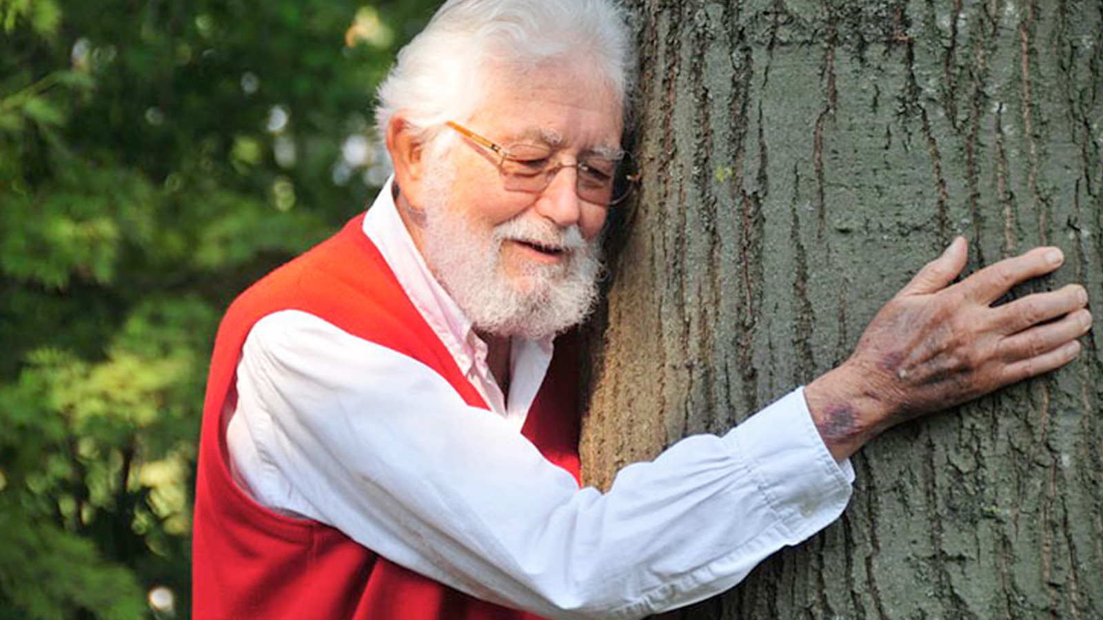 güle-güle topak dede