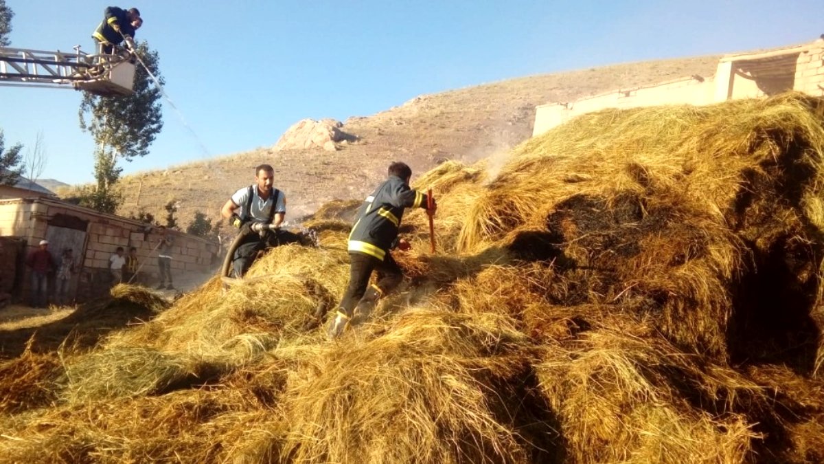 Saman ve küspe fiyatları arttı