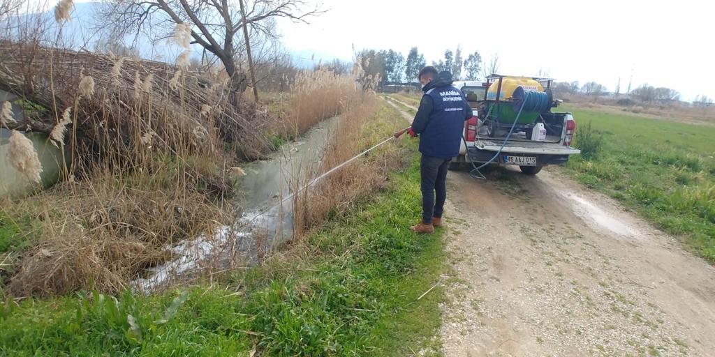 Bataklıklar ilaçlanıyor