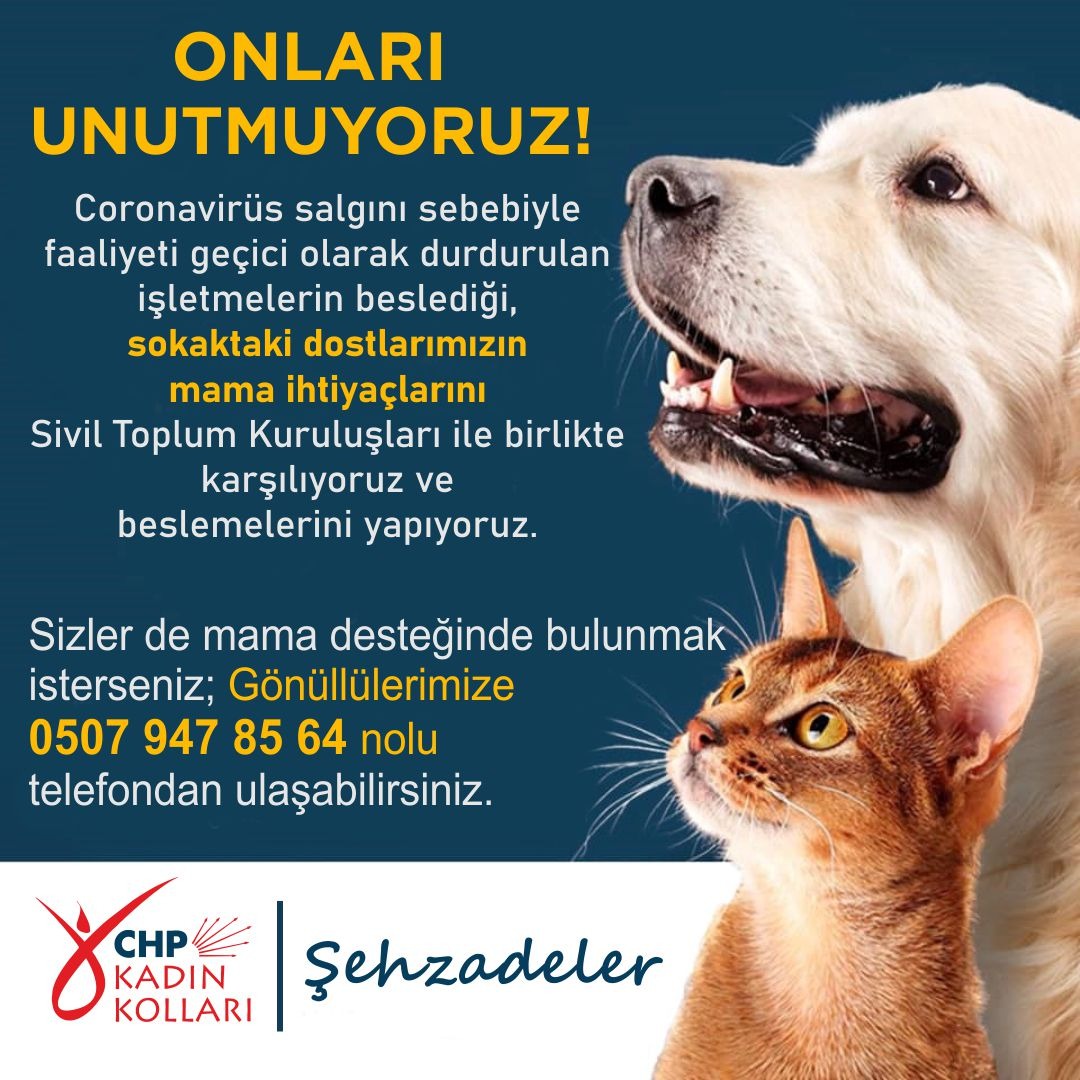 Sokak hayvanları unutulmadı