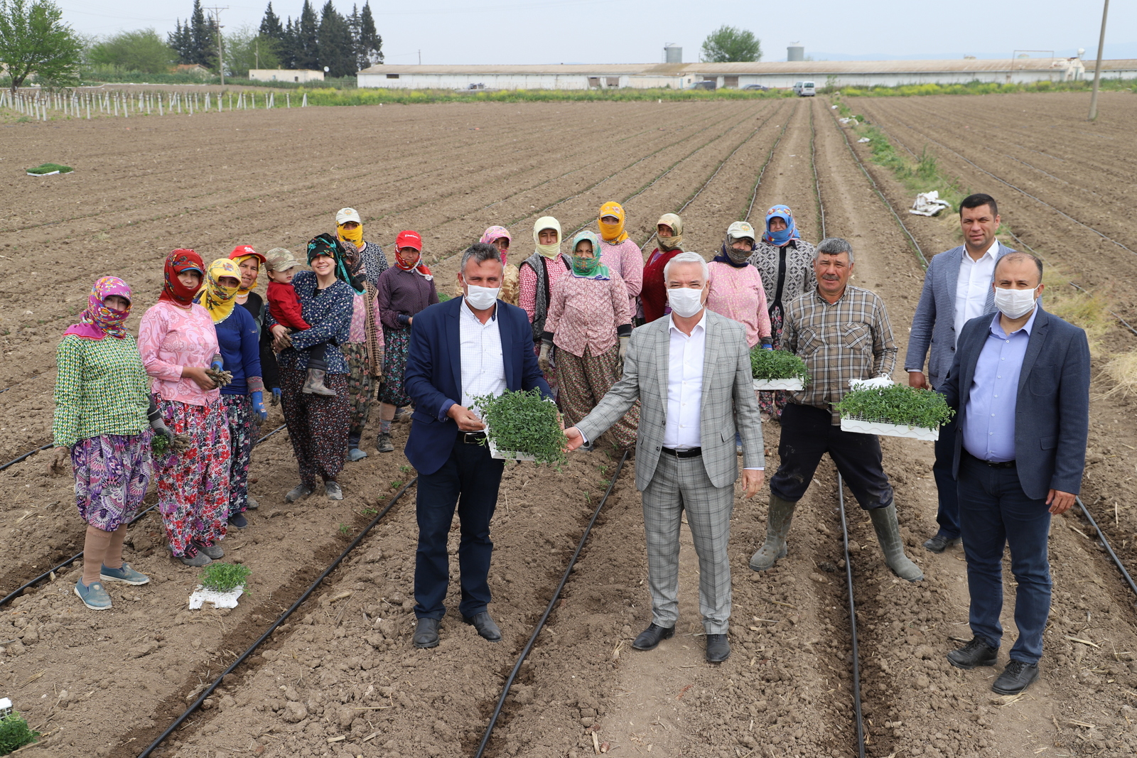 Başkan Bilgin işçilerle domates fidesi dikti