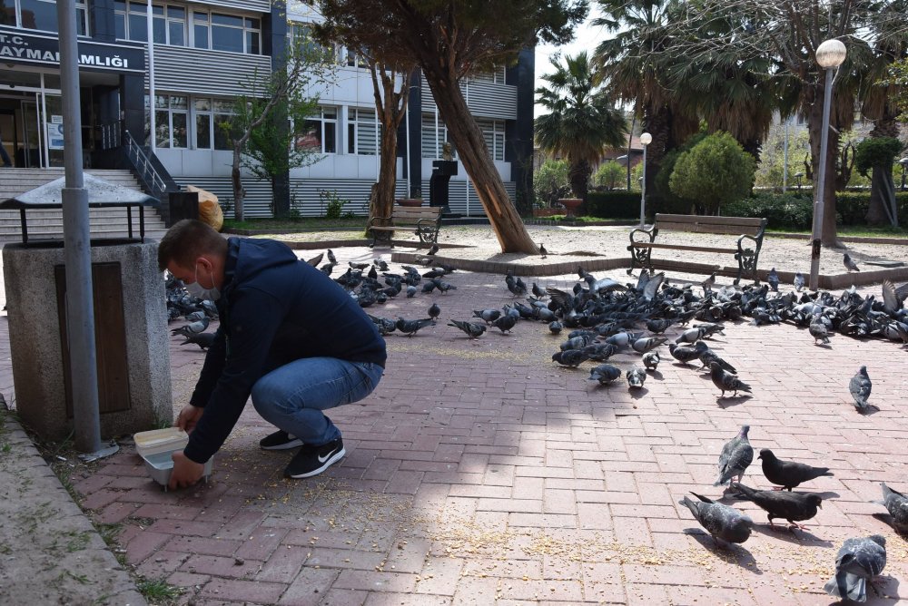 Belediye sokak hayvanlarını unutmadı.