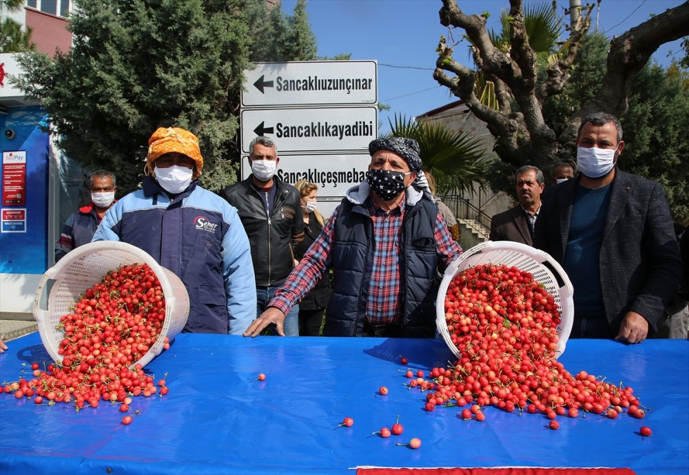 Mevsimin ilk kirazı 400 liradan satıldı