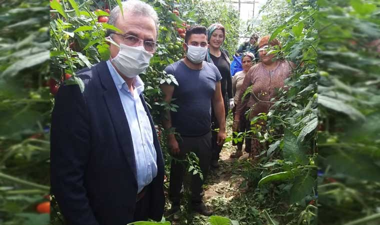 Aydın,Muğla, İzmir ve Denizli "Bitkisel Üretimin Geliştirilmesi" projesine alınmadı