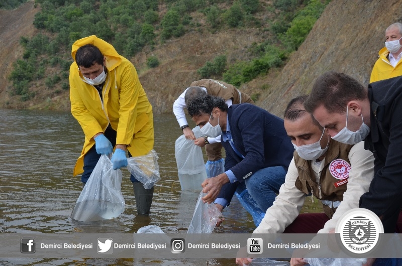 Demirci'de balık yavruları suyla buluştu