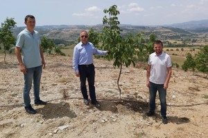 Gördes ceviz üretim merkezi oluyor