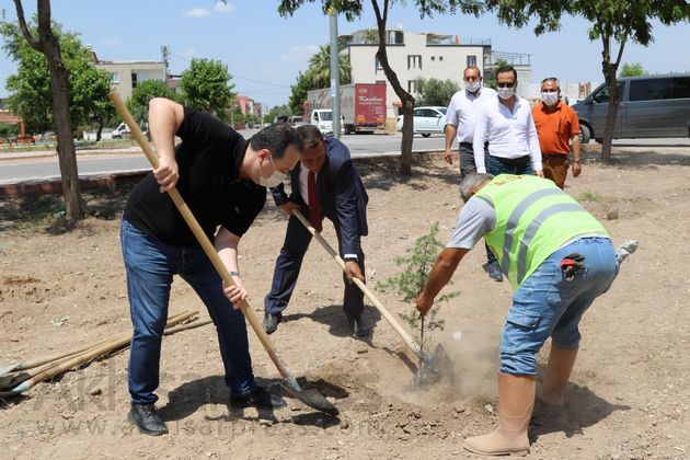 Yeşil Akhisar için 1000 fidan toprakla buluştu