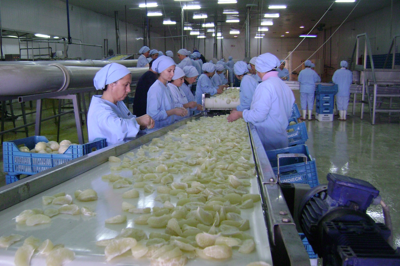 Salihli OSB'de fabrika bacaları, ülke için tüttü