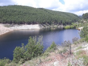 Güneşli ve Doğanpınar göletlerinden av yasağı kalktı