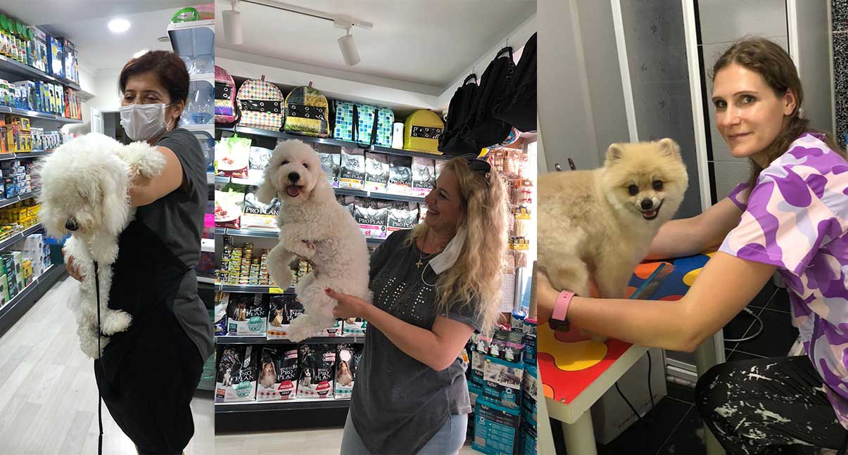 Pet Kuaförü Katya,Turgutlu'da ki köpekleri tıraş etti.