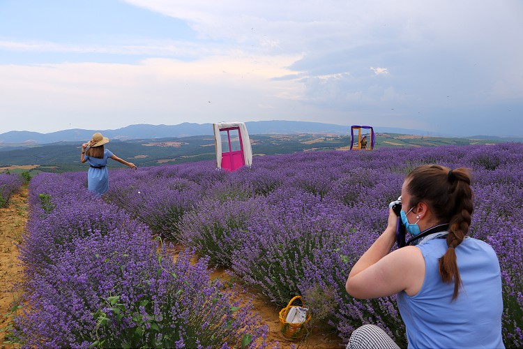 Mor tarlalar ilgi odağı