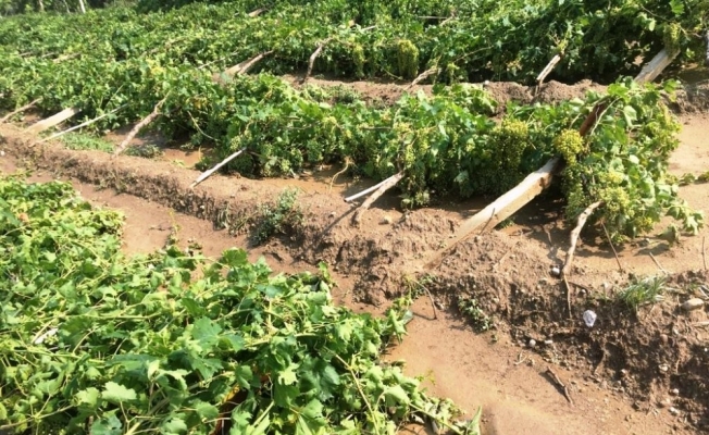 Böylesi görülmedi