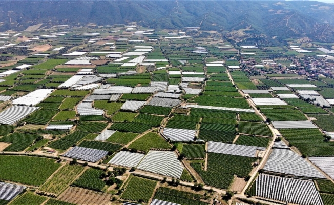 Bağlar binlece metre uzunluğunda bezle kaplandı