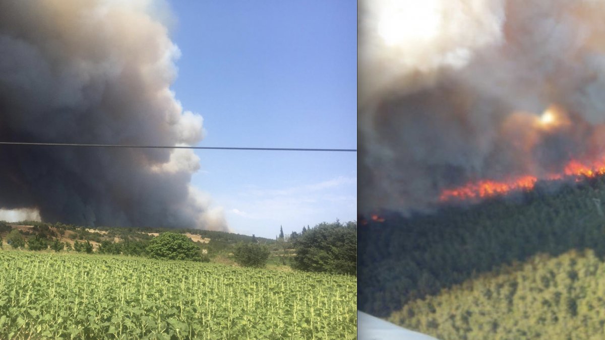 Çanakkale'de yangın,deniz ulaşımı durdu