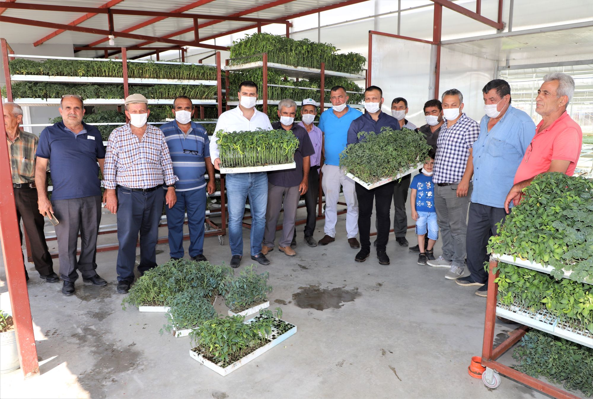 Üreticilere fide dağıtıldı