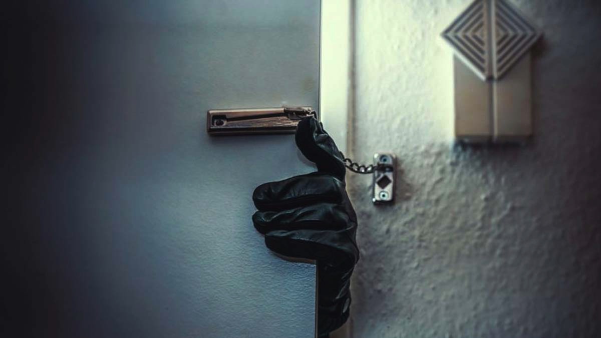 Hırsızlığın en fazla olduğu iller açıklandı