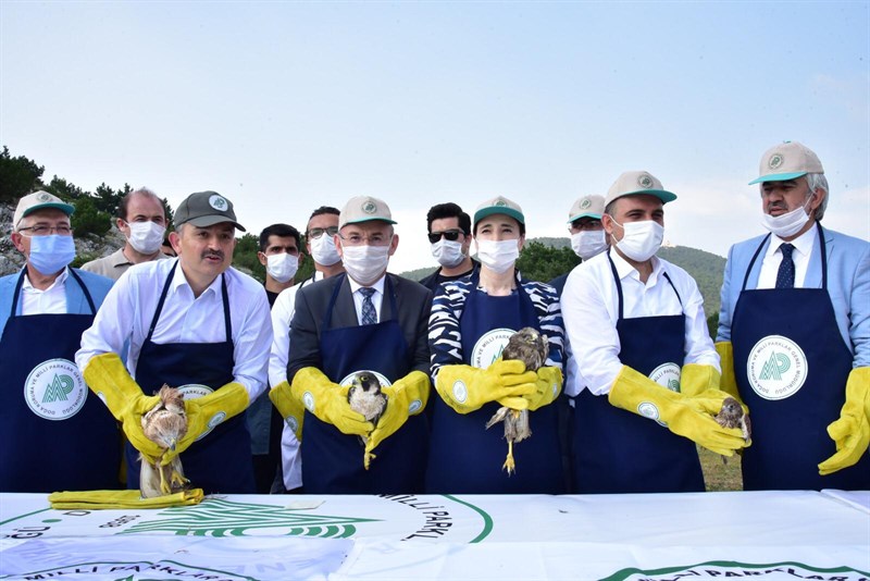 Doğaya bırakıldılar