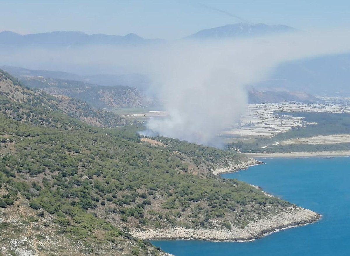 İzmir ve Muğla'da peş peşe orman yangınları