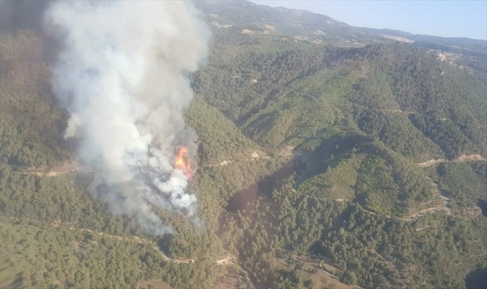 Ahmetli'de ve Seferhisar'da yangın