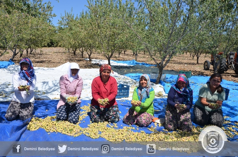 Demirci bedem üretiminde zirvede