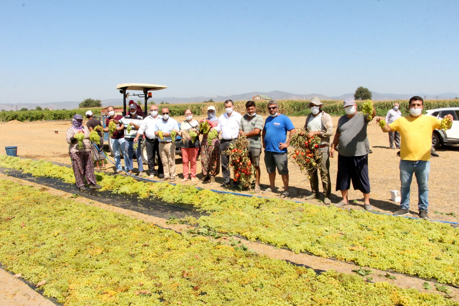 CHP'liler tarla-tarla,bağ-bağ dolaşıyor üretici sıkıntıda