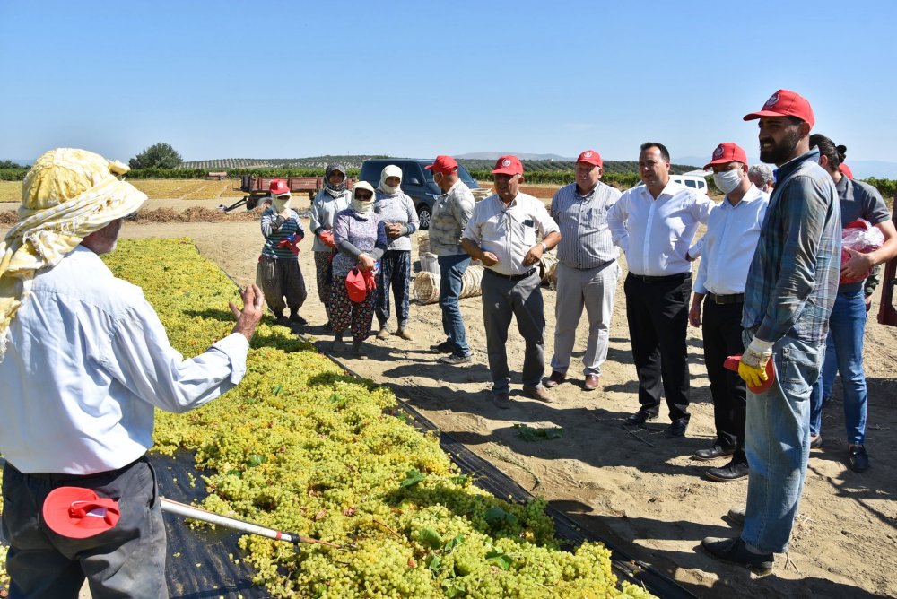 Başkan Dutlulu,bağları gezdi,üreticilere maske dağıttı