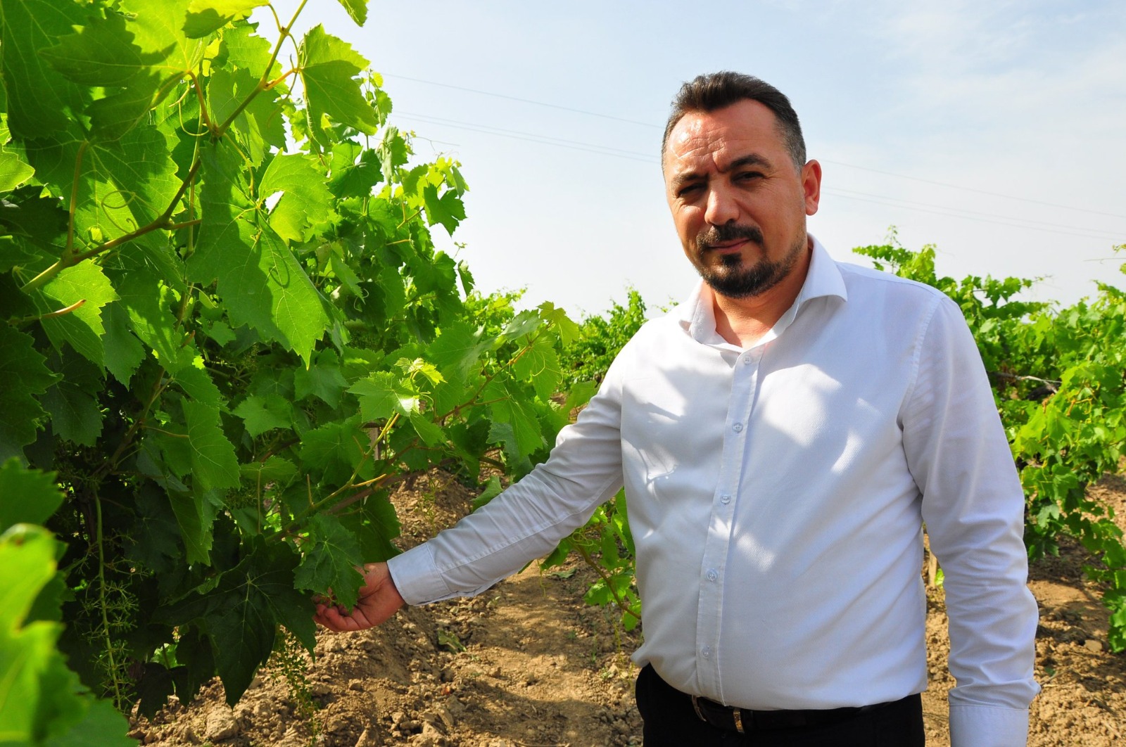 Üzüm fiyatları 'erken açıklansın' uyarısı