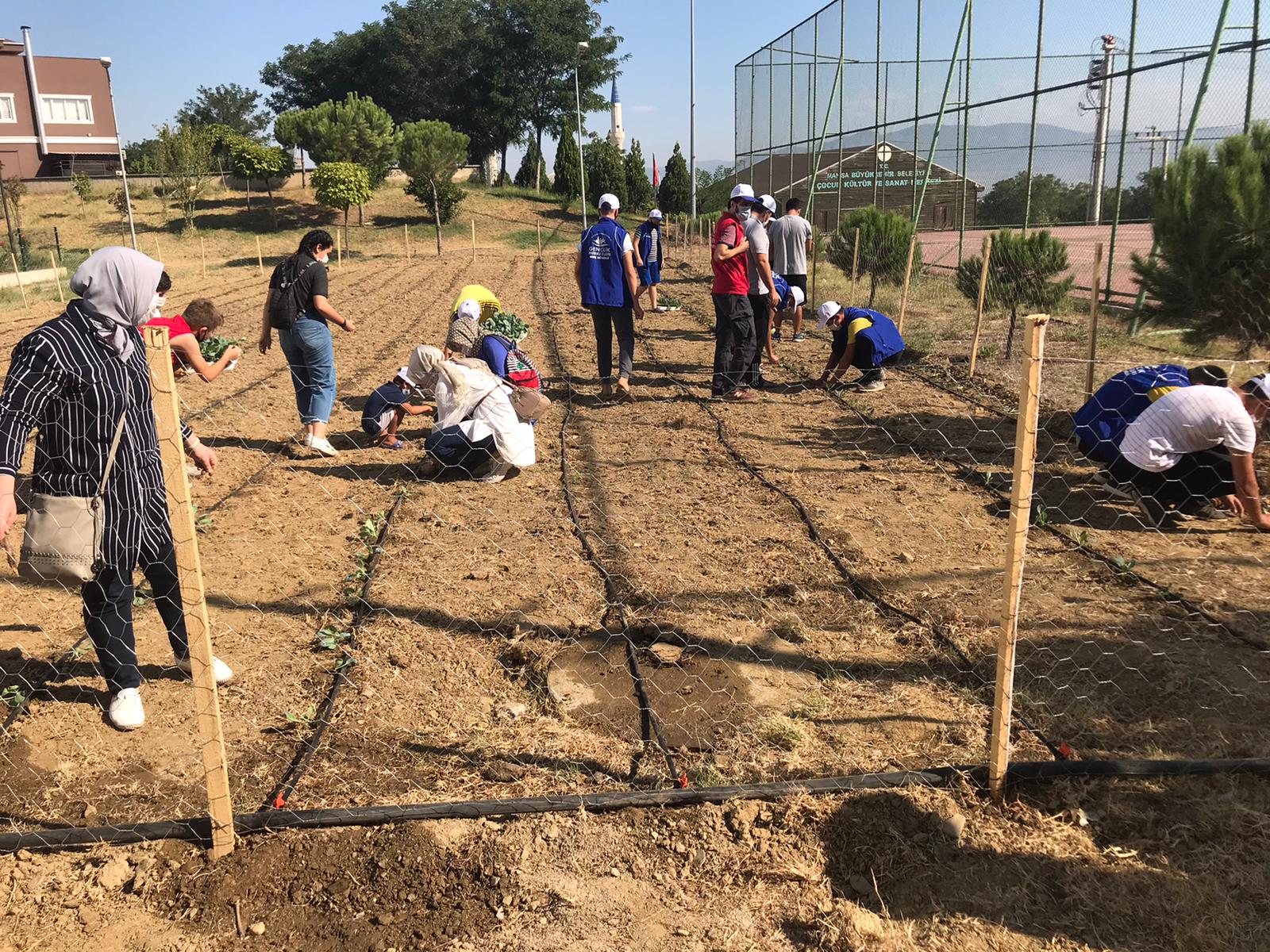 Geçler hobi bahçesinde