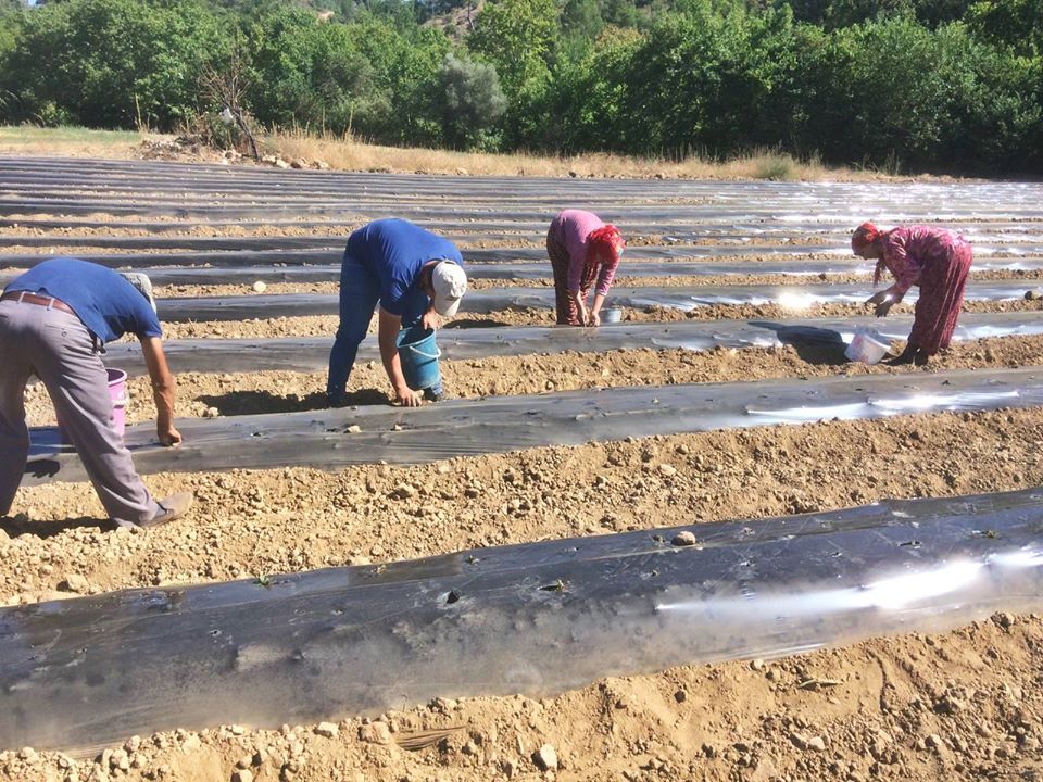 Akhisar belediyesinde kadın üreticilerine destek