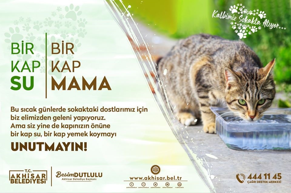 Akhisar belediyesinden'bir kap su,bir kap mama' çağrısı