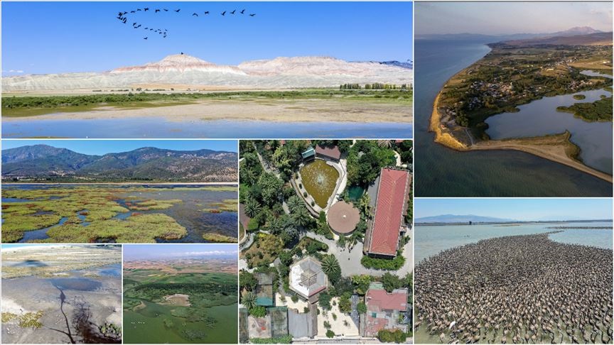 Büyüleyici kuş cennetleri