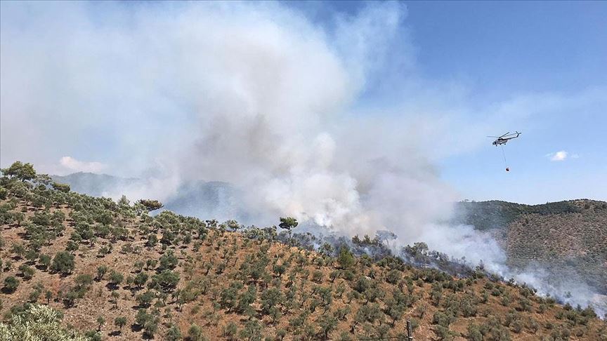 Muğla'da yangın