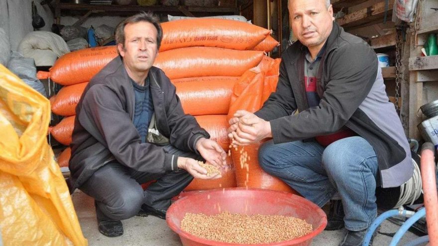 Nohutlar üreticinin elinde kaldı