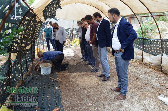 Bucak'da salep incelemesi