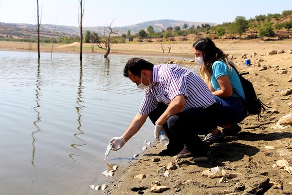 Gölette binlerce balık ölümü