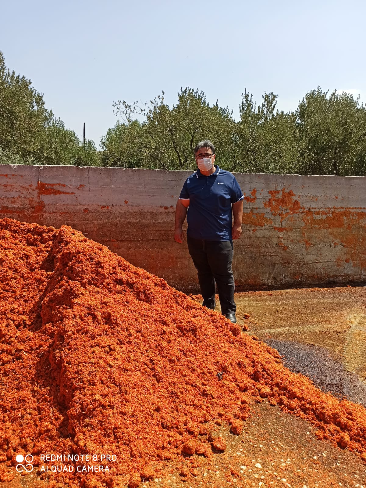 Domates para etmedi, posası para etti