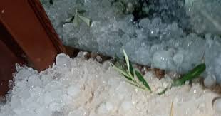 Dolu Ayvalık'ta zarara yol açtı